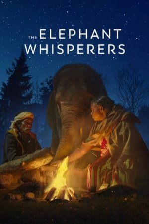 The Elephant Whisperers (2022) คนกล่อมช้าง | Netflix